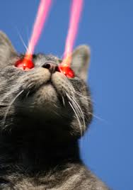 When using a laser pointer to play with the cats, i've always been careful to end the session by giving them a physical toy to play with. Kitty Phasers Locked The Top Four Best Laser Pointer Cat Toys Cats Will Play