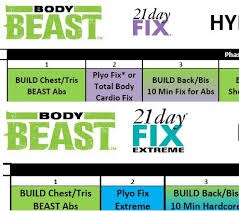 body beast 21 day fix and body beast