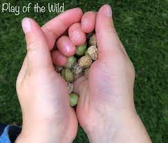 Buy nasturtium seeds and get the best deals at the lowest prices on ebay! Teaching Kids About Gardening Collecting Seeds Play Of The Wild