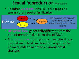 title your page sexual vs asexual reproduction notes