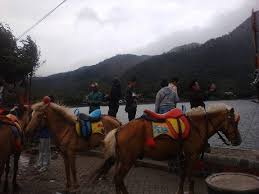 Aku langsung pesan sate kuda dan sate kelinci. Tahun Baru Di Sarangan Ini Tarif Naik Kuda Dan Perahu Boat Di Lokasi Wisata Magetan