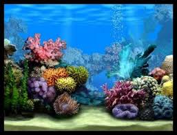 Image Result For Fishtank Background Printable Cartoon Pictures Aquarium Backgrounds Aquarium Fish Fish Tank