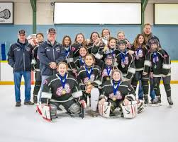 'i love hockey and would never do that'. Girls Hockey Franklin Park Ice Arena