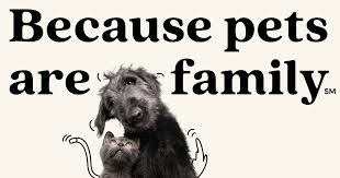 Последние твиты от petplan pet insurance (@petplan). Petplan Pet Insurance World S 1 Pet Insurance For Dogs Cats