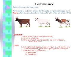 Are you studying genetics but don't understand the codominance vs. Extending Mendel Genetics Other Genetic Variations Dominance Variations Complete Incomplete Codominance Polygenetic Multiple Alleles Pleiotropy Ppt Download