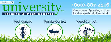 Termagon termite & pest control. University Termite Pest Control Inc Reviews Facebook