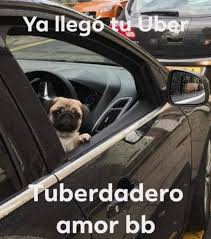 Ya Llego Tuberdadero Amor Bb Piropos Chistosos Piropos Para Hombres Memes Divertidos