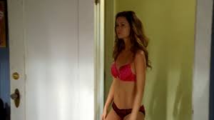 The show's creator and two of the leads from fox's terminator: Terminator Sarah Connor Chronicles Summer Glau Geekboners