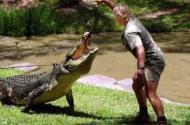 2006 starb der bekannte tierfilmer steve irwin. Australien Steve Irwin Grotesker Totenkult Reise Sz De