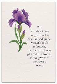 Iris Condolence Card Cardthartic Com Flower Quotes Flower Meanings Iris Flowers