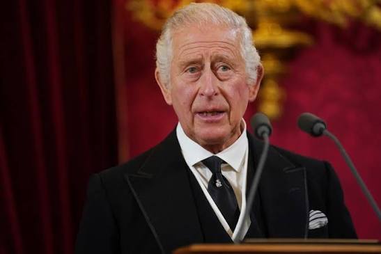 Accession Council proclaims Charles as King as crowds gather for ceremony  in London - ABC News