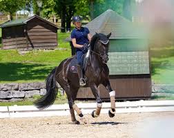 Die 35 jahre alte reiterin aus dem bayerischen tuntenhausen sicherte sich nach dem sieg im grand prix special auch die goldmedaille in der kür. Jessica Von Bredow Werndl Acquires Forsazza De Malleret