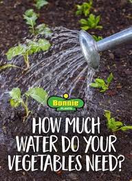 When It Comes To Veggies You Don T Want To Overwater But You Certainly Don T Want Your Plants To Be Thirsty Plants Garden Watering Schedule Vegetable Garden