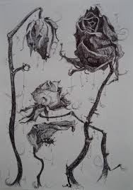 Https S Media Cache Ak0 Pinimg Com 736x A2 Db 5e A2db5e174e10ce5b8863f40986c39d62 Jpg Roses Drawing Flower Drawing Dead Rose Tattoo