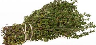 Menthol also contains a large amount of terpenes, which have analgesic and antiseptic activities. ÙÙˆØ§Ø¦Ø¯ Ø´Ø±Ø¨ Ø§Ù„Ø²Ø¹ØªØ± Ø§Ù„Ø¨Ø±ÙŠ Ø­ÙŠØ§ØªÙƒ