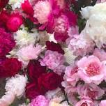 Scandia Farmers Market