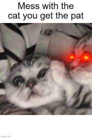 Pin On Memes Of Cats