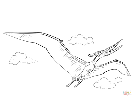 We did not find results for: Pteranodon Coloring Page Coloring Home