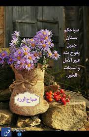 pin by hanan allam on hanan good morning gif good morning arabic morning images