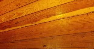 How To Stain Pine Floor Boards Pine Floors Refinishing Floors Basement Remodeling