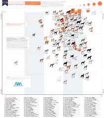 What Dog Breed Has The Best Temperament Aaa State Of Play