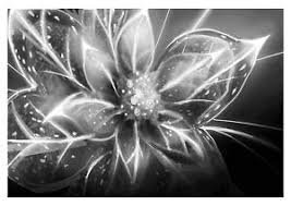 Trendy chic white & black vintage elegant floral poster. Abstract Flower Black And White Floral Wall Art Large Poster Canvas Pictures Ebay