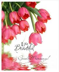 Good Morning My Beautiful Friend Sending Much Love Hugs And Prayers To You Have A Blessed Day Xoxo S Beautiful Flowers Pretty Flowers Tulips