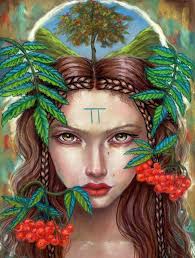 Rowan Tree spirit Fine Art Print by Tammy Wampler