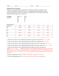 Chapter 10 dihybrid cross worksheet answers key fill in the punnett squares for each cross given to determine the phenotype and genotype ratio's of the. Dihybrid Cross Worksheet In Peas Round Seed