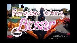 Nama sahara diambil dari bahasa arab yang berarti. Kort Rider Vlog Ø§Ù„Ø£Ø±Ø¯Ù† Vlip Lv