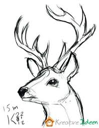Pin On Art Drawing