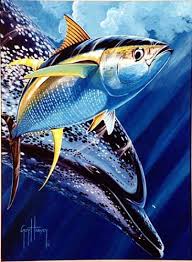 Guy Harvey Tuna Image Search Results Guy Harvey Art Sea Life Art Fish Art