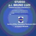 Bruno Luzi