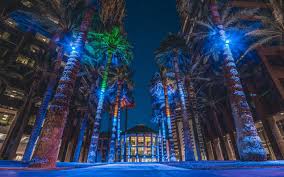Maybe you would like to learn more about one of these? Download Wallpapers Phoenix Night Palm Trees Midtown Phoenix Buildings Alley Arizona Usa For Desktop With Resolution 2880x1800 High Quality Hd Pictures Wallpapers