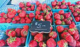 Belmar Farmers Market