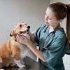 Call our caring & trained team now. 1