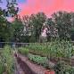 From Neighboring Gardens to Flora Farm: A Family event image
