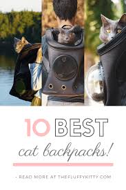 Naturally, your cat's safety and comfort is your number one priority. Cat Backpacks For Cats Cat Backpack Adventure Cat Cats