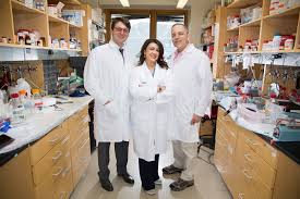 Cancer in the pancreas is regarded as rare, but if you develop any signs of this cancer, contact your doctor. Implantable Device Targets Pancreatic Cancer Mit News Massachusetts Institute Of Technology