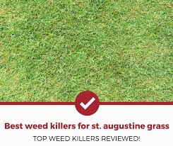 Benefits of using organic weed control. Top 5 Best Weed Killer For St Augustine Grass 2021 Review Pest Strategies