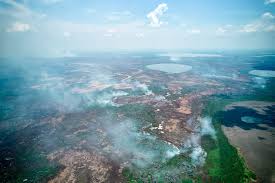 In Brazil, the World's Largest Tropical Wetland Has Been Overwhelmed With  Unprecedented Fires and Clouds of Propaganda - Inside Climate News