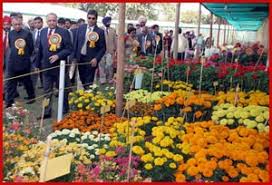 Festival Of Gardens Rose Festival Of Chandigarh Festivals Of India Several competitions are also held. festival of gardens rose festival of
