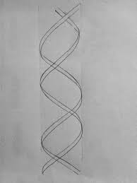 How To Draw Dna | Dna Drawing, Drawings, Zentangle Patterns