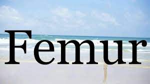 Listen to the audio pronunciation in the cambridge english dictionary. How To Pronounce Femur Pronunciation Of Femur Youtube