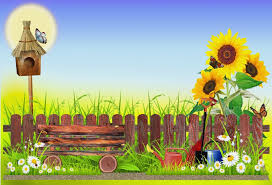 Bunga ini berwarna kuning terang dan selalu menghadap matahari, sehingga kemudian dinamai bunga matahari atau sunflower. Laeacco Bayi Gambar Kartun Musim Semi Hijau Taman Bunga Matahari Rumput Pagar Kayu Adegan Latar Belakang Foto Fotografi Backdrop Foto Studio Background Aliexpress