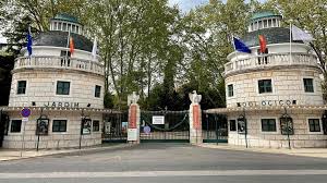 As últimas notícias, opinião, fotos e vídeos de jardim zoológico de lisboa. Coronavirus Jardim Zoologico Entra Em Modo Virtual Com Novidades Renascenca