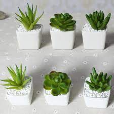 Online Get Cheap Handmade Plant Pots Aliexpress Com Alibaba Group Plants Plant Decor Handmade Plant