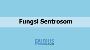 Organel sel melakukan fungsi tertentu yang diperlukan untuk fungsi sel normal. Fungsi Sentrosom Pada Sel Hewan Dan Pengertiannya