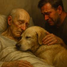 Please, bring me my Whitey. I want to say goodbye… Don't force him, just  explain. He understands everything,” the father pleaded softly. The son  nodded and went to find the family's old