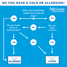 Cold Or Allergies